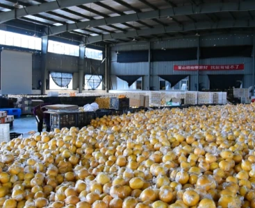 順豐快遞給手動(dòng)液壓搬運(yùn)車(chē)消毒，保障生鮮瓜果食品安全
